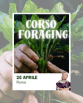 Corso riconoscimento erbe spontanee Roma