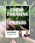 Corso riconoscimento erbe più pranzo a Tregnago VR