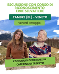 Corso di riconoscimento erbe Col Indes Belluno 1 maggio
