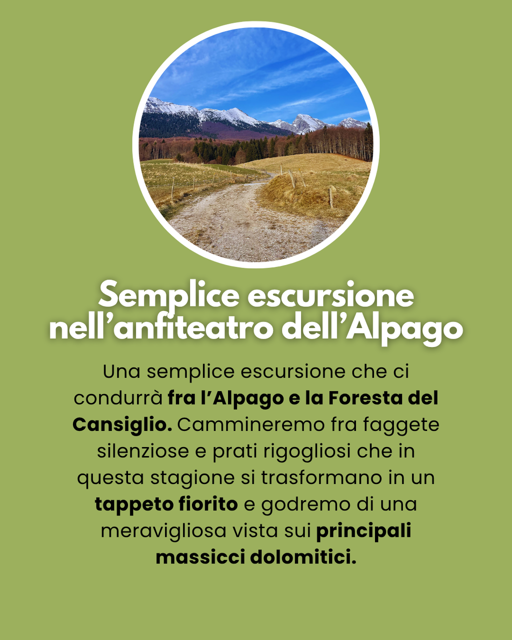 Corso di riconoscimento erbe Col Indes Belluno 1 maggio