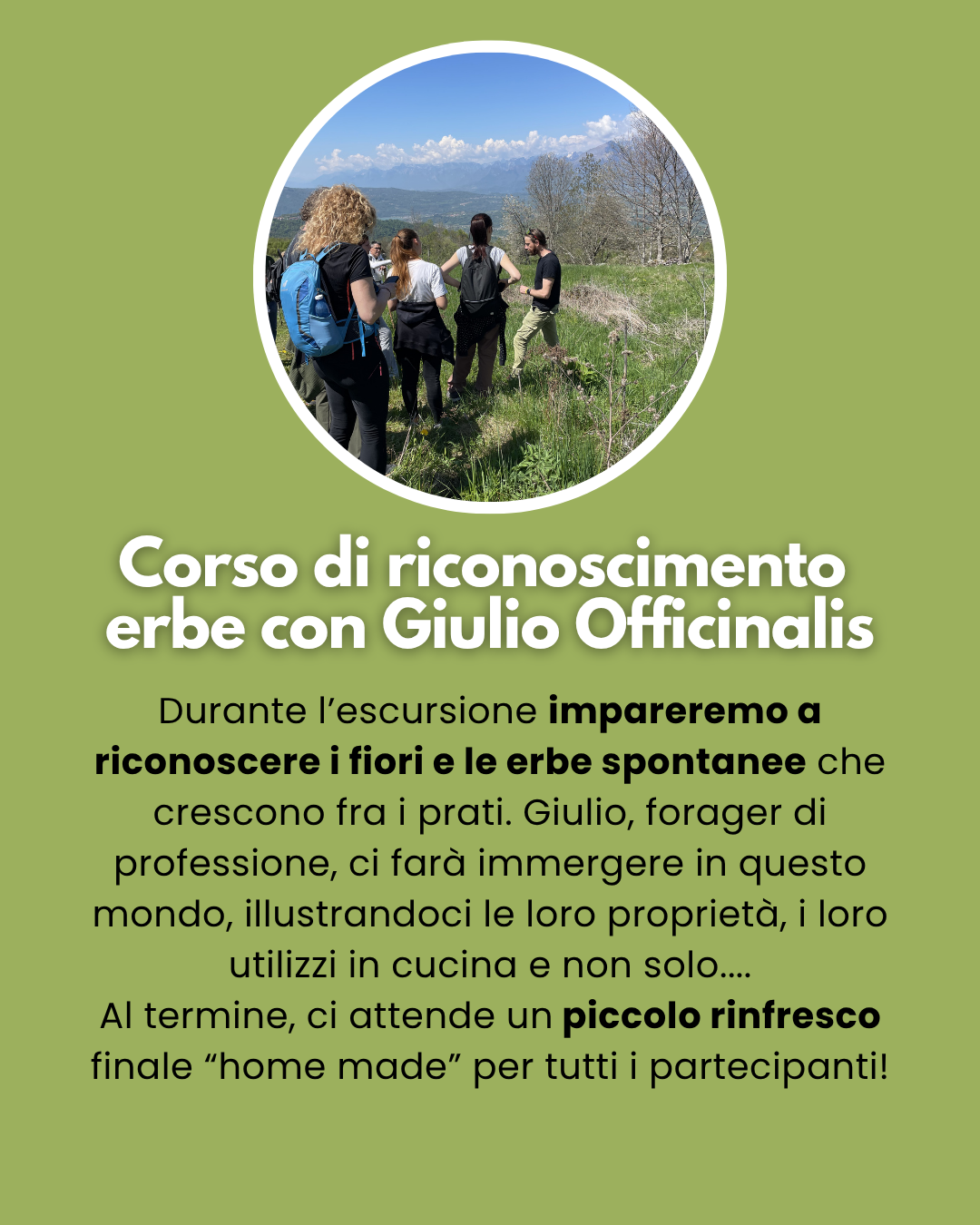 Corso di riconoscimento erbe Col Indes Belluno 1 maggio