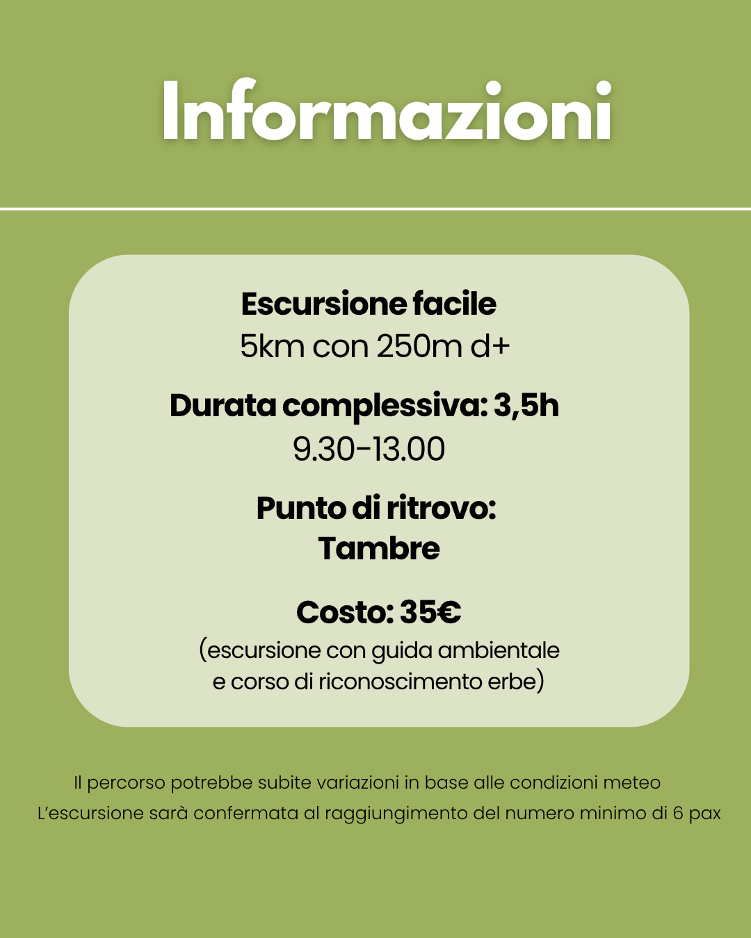 Corso di riconoscimento erbe Col Indes Belluno 1 maggio
