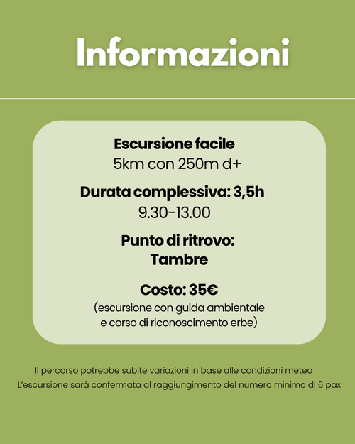 Corso di riconoscimento erbe Col Indes Belluno 1 maggio