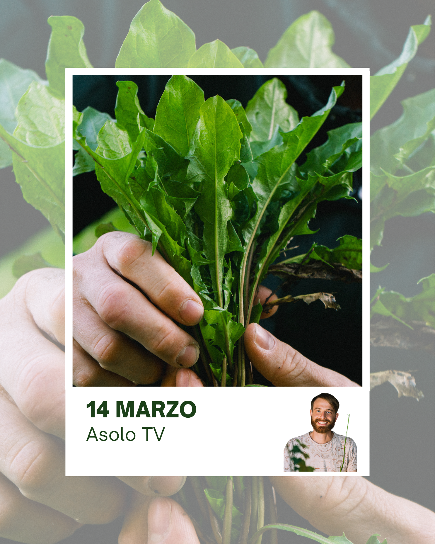 Corso Riconoscimento Erbe - 14 Marzo 2026 - Asolo TV