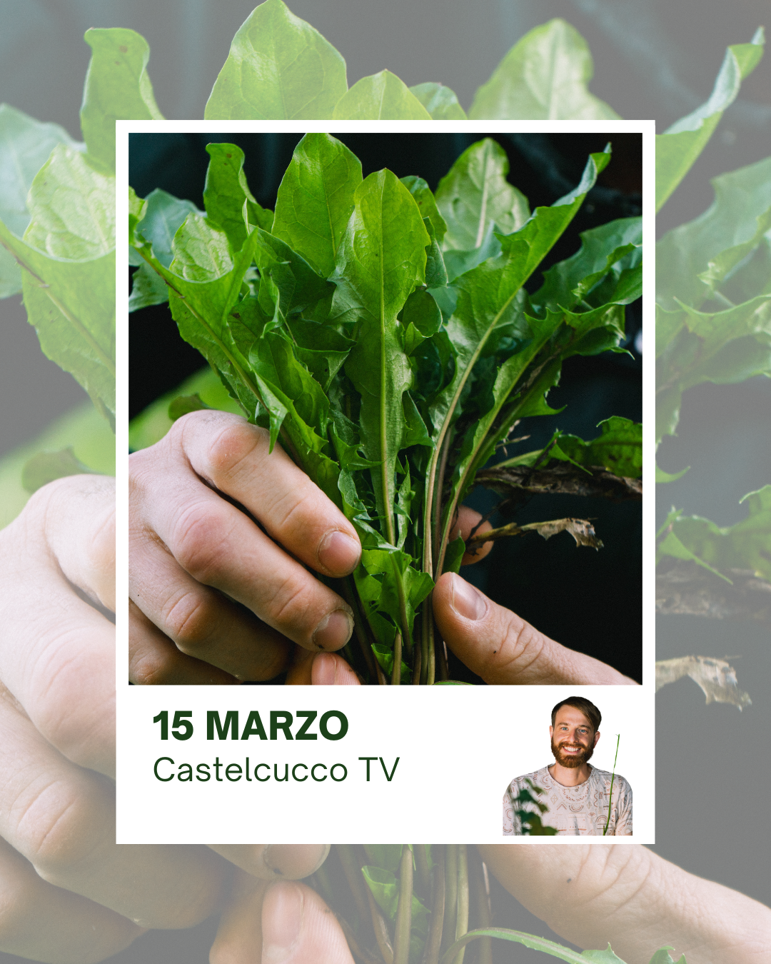 Corso Riconoscimento Erbe - 15 Marzo 2026 - Castelcucco TV